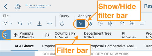 image of top left part of dashboard with the filter button under "Analyze" circled and a tool tip called out "Show/Hide filter bar". The filter bar below the file menu bar is also circled with a tool tip "filter bar"
