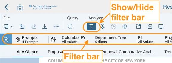 image of top left part of dashboard with the filter button under "Analyze" circled and a tool tip called out "Show/Hide filter bar". The filter bar below the file menu bar is also circled with a tool tip "filter bar"
